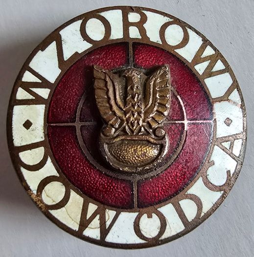 Polish Army Exemplary Commander (Wzorowy Dowodca) Badge