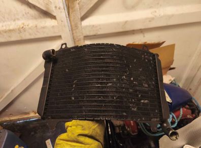 Suzuki rgv 250 radiator