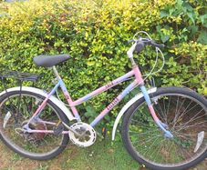 Ladies Bike