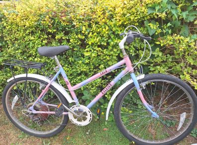 Ladies Bike