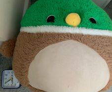 Large Squishmallow