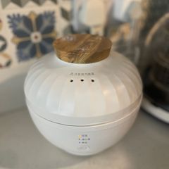 multi-function rice cooker