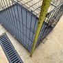 Large dog cage Image 2
