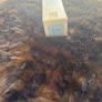Jo Malone - Woodsage and Sea Salt Cologne- 10ml. Image 6
