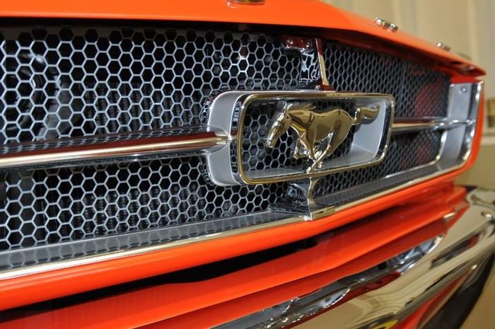 FORD 1964-1965 Mustang Pony Chrome Grill Emblem Display Muscle Car