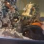 fish tank Image 6