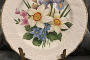 Fenton China Staffordshire floral design plate.