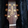 takamine P3NC Image 2