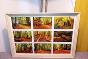 Rostellan Woods