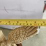 Varnished Resin Golden Eagle Figurine On Wooden Round Plinth. Image 3