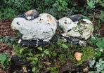 Concrete rabbit garden ornaments