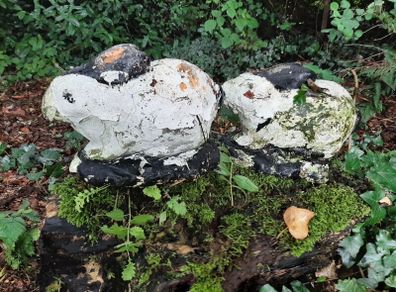 Concrete rabbit garden ornaments