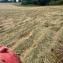 Haylage Image 10
