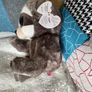 Ty Beanie Boo - Dangler / New Image 3