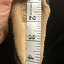 Robeez baby shoes Image 5