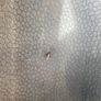 Michelin road 6gt 180/55/17 Image 4