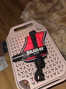 Julius-K9 Dog Harnesses