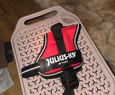 Julius-K9 Dog Harnesses
