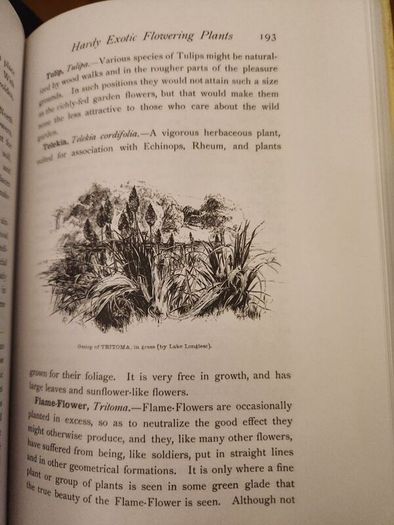 The Wild Garden. By William Robinson. Hardback With Dustjacket In Good Condition.