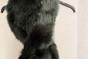 New M&amp;S Fur Collar/ Stole