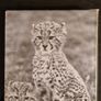 International Zoo Yearbook Volume 20. Edited By P. J. S Olney. Published By The Zoological Society Of London. First Edition. Hardback With Dustjacket In Very Good Condition. Image 2