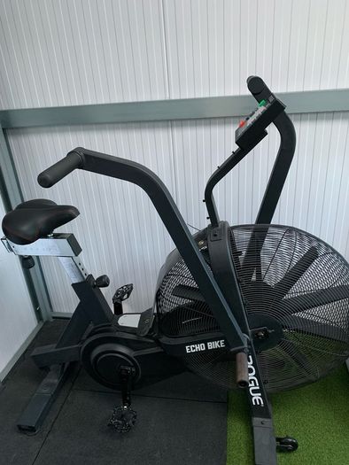 Rogue Echo Assault Bike