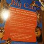 Big Cats Eyewonder Enter A World Of Discovery Image 8