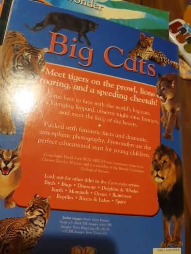 Big Cats Eyewonder Enter A World Of Discovery