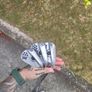 pxg sugar daddy 2 wedges 50 54 60 Image 6