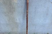 Vintage hazel walking stick