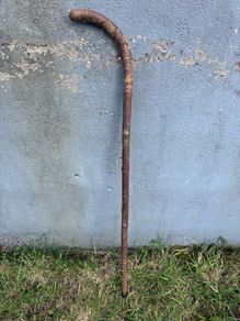 Vintage hazel walking stick