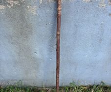 Vintage hazel walking stick