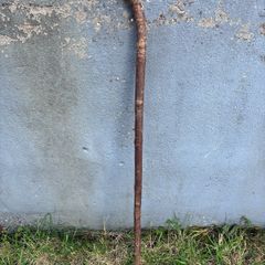 Vintage hazel walking stick