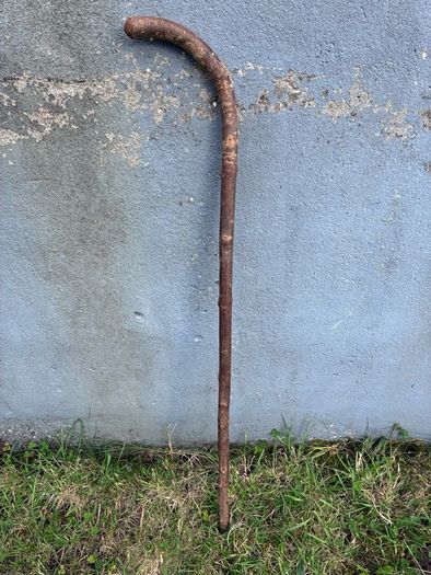 Vintage hazel walking stick