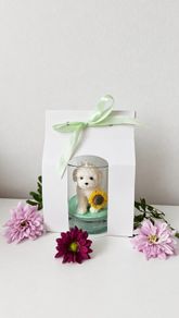Soy Wax Candle, A Perfect Gift for Dog Lovers