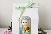 Soy Wax Candle, A Perfect Gift for Dog Lovers