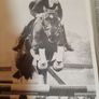 Our irish horses 1980's Image 8