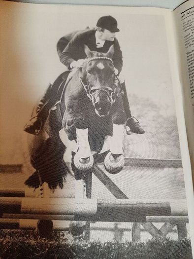 Our irish horses 1980's