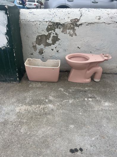 pink toilet retro vintage