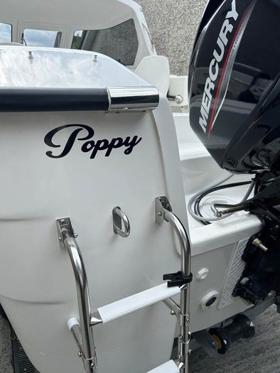 Cuddy 17  Smart-liner with 60hp Mercury