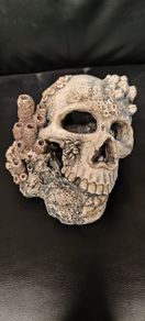 Skull aquarium ornament Aquarium skull decoration