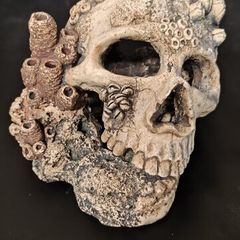 Skull aquarium ornament Aquarium skull decoration