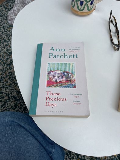 Ann Patchett ' These Precious days '