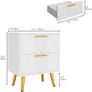2-Drawer Bedside Table Set of 2, Small Bedside Storage Cabinet with Storage, Nightstand End Table for Living Room Bedroom Office, 40x30x52cm, White & Gold Image 2