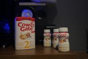Cow and gate