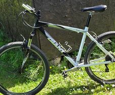 Giant Rincon     Size M.