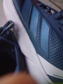 trainer/ Runners