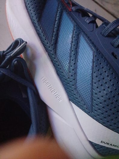 trainer/ Runners