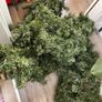 5 x garlands (lights NOT Included) Image 2