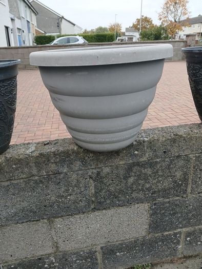 large plant pots